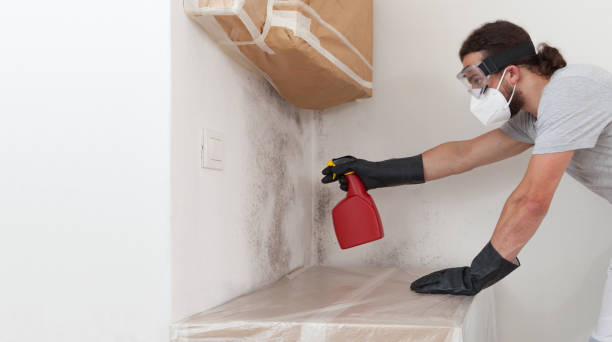 Professional Basement Mold Remediation technician working in Coinjock, NC
